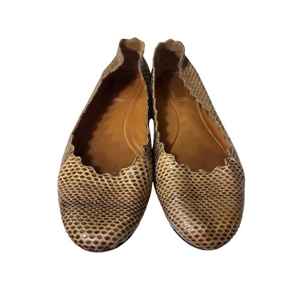 Chloé Scalloped Snakeskin Print Leather Ballet Flats Size 7.5 Brown Beige Textur - Picture 2 of 8